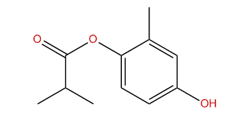 4-Hydroxy-2-methylphenyl isobutyrate